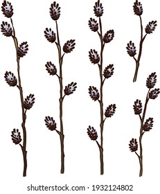 Spring set with hand-drawn sketches of young willow twigs with blue furry buds isolated on a white background.