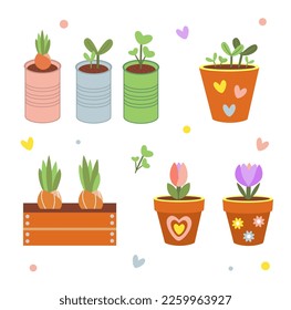 Spring set of home garden pots and seeds. Vector isolated cute spring garden elements clay pots, onion flowers, tulips, crocus.