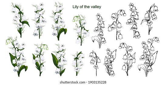 Spring set with lily of the valley flowers. hand-drawn realistic bouquets isolated on a white background. Botanical vector illustration in vintage style. for paper, greetings, postcards, paper, cards.