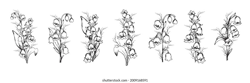 Spring set with Lily of the valley flowers. hand-drawn realistic element. Botanical vector illustration isolated on white background. flowers, primroses for print, card, banner. vintage style