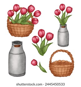 Spring set tulips, red flowers in basket, watering can isolated on white background