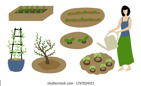 spring set. watering and caring for plants. garden beds with seedlings. Girl watering the sprouts. Plants in the spring garden