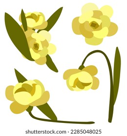 Spring set of yellow flowers with stems. A set of vector images of isolated realistic rose petals, flowers, branches, leaves. Illustration of the design of a spring growing flower