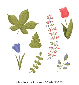 Spring set.Collection of popular floristic flowers and plants isolated on white background. Botanical colorful hand drawn vector illustration in flat cartoon style.