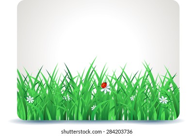 Spring signboard with grass, vector illustration 
