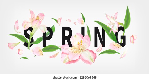 Spring slogan with beautiful blooming flowers of light pink Alstroemeria, tender petals and leaves. Vector illustration