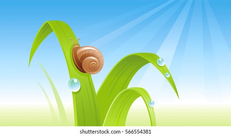 Spring snail banner border. Ecological concept. Environment friendly vector illustration. Summer landscape. Green grass, blue sky, insect. Springtime nature. Flat greeting card background design