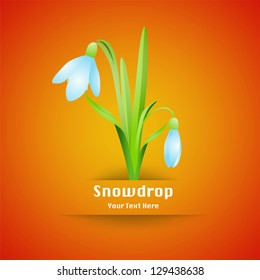  Spring Snowdrop Card on orange background. Vector