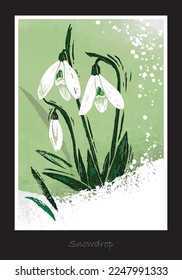 Spring snowdrop flower with bunch of flowers grown through snow surface with snowflakes in linocut style. Lino print can be used as a stamp on fabric, wall art, postcard. Hand drawn illustration