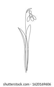 Spring snowdrop flower in continuous line art drawing style. Black linear sketch on white background. Vector illustration