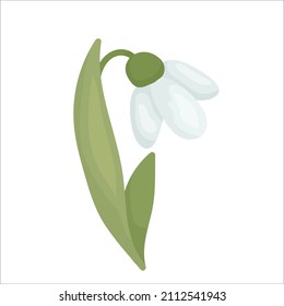 Spring snowdrop flower.Cartoon vector graphic.
