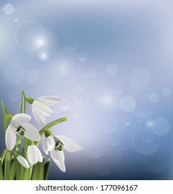 Spring snowdrop flowers on blue background. Vector illustration 