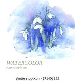 Spring snowdrop flowers with snow in the forest
Watercolor. Vector. Background
