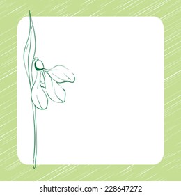Spring snowdrop greetings card, hand drawn illustration over a blank display with a green frame
