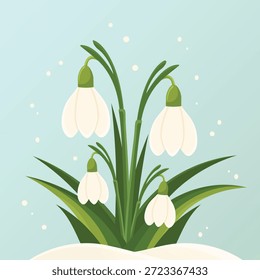 Frühling Schneetropfen Blumen blühen in Schnee flachen Vektorgrafik.