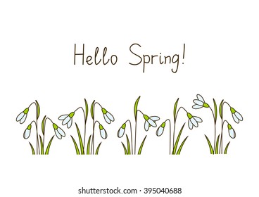 Spring snowdrops isolated on white