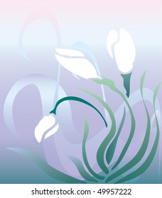 the spring snowdrops are on the background.