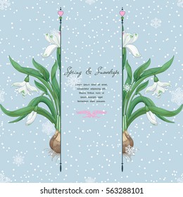 Spring snowdrops and snowflakes. Vector card. Place for your text.