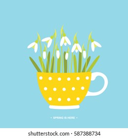Spring snowdrops in yellow tea cup vector illustration