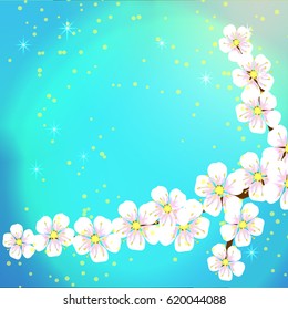 spring soft blue background from the flowers of the apricot