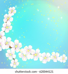 spring soft blue background from the flowers of the apricot