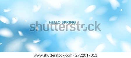 Spring soft gradient background. Flying flower petals. Gentle White flowers. Cherry blossom. Blue sky.