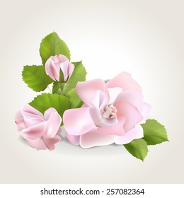 Spring soft realistic roses corner, vector illustration