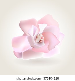 Spring soft realistic single rose flower, vector illustration