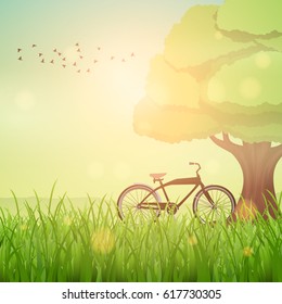 Spring solar background with tree and bicycle. Summer landscape