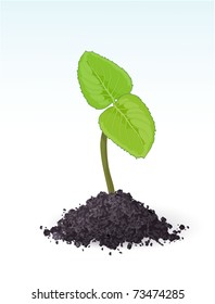 Spring sprout. Vector.