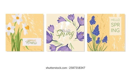 Spring square cards with bulb flowers, crocuses, daffodils, muscari. Vector template for posts in social media, greeting cards, flyers promotion