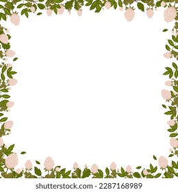 Spring square frame with clover flowers, shamrock and leaves. Summer vector border isolated white background cartoon style.