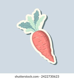 Spring sticker carrot. Hand drawn style. Springtime element. Vector seasonal element.