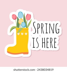 Spring sticker with inscription Spring is here. Tulips in  yellow rubber boot. Vector card on spring theme in pastel colors for greeting cards, scrapbooking, invitations, social networks, magnets