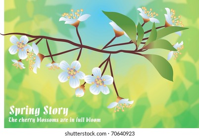 The Spring Story