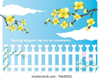 The Spring Story