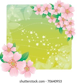 The Spring Story