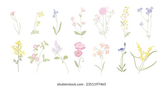 Spring and summer arrangements with small flower. Botanical illustration minimal style.