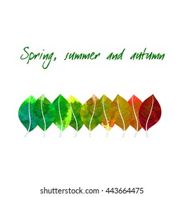 Spring, Summer and Autumn  -     vector   watercolor  foliage  template