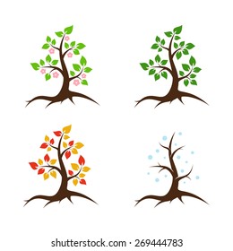 Spring, summer, autumn and winter tree - vector illustration