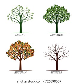 Spring, Summer, Autumn, Winter Trees. Vector Illustration.