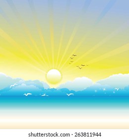 spring or summer  background