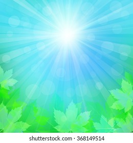 Spring or summer background with bokeh lights. Abstract illustration with sun beams and defocused lights. Sunny natural background with maple leaves. Blurred soft backdrop. Vector illustration. EPS10