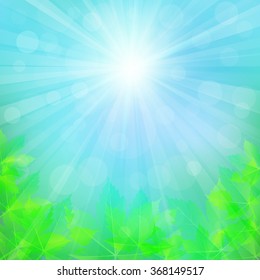 Spring or summer background with bokeh lights. Abstract illustration with sun beams and defocused lights. Sunny natural background with maple leaves. Blurred soft backdrop. Vector illustration. EPS10