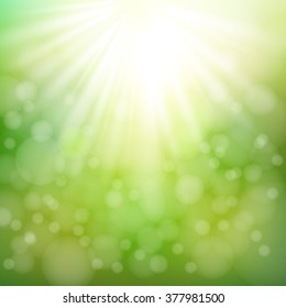 Spring and Summer background with bokeh and sun lights.Blurred soft backdrop and Green background.vector illustration