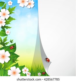 Spring or summer background with flowers, grass and a ladybug. Vector.