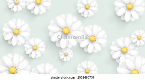 Spring or summer background with fluffy 3d chamomile flowers on light soft backdrop, 3d graphic elements creating backdrop