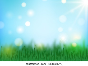 Spring and summer background with green grass and blue sky. Vector illustration