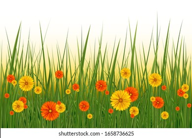 Spring or summer background, sunny day with flowers and grass, illustration. Easter decoration element with spring grass and meadow flowers
