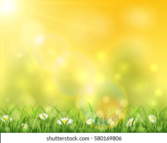 Spring or summer background, sunny day with flowers and grass, illustration.